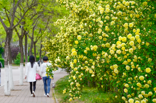 与你相遇米兰·体育_米兰(中国)，四季终成诗歌（组图）